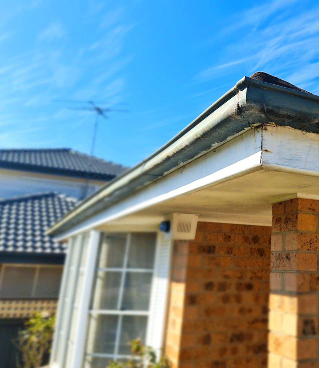 Gutter and Downpipe Repair Sydney